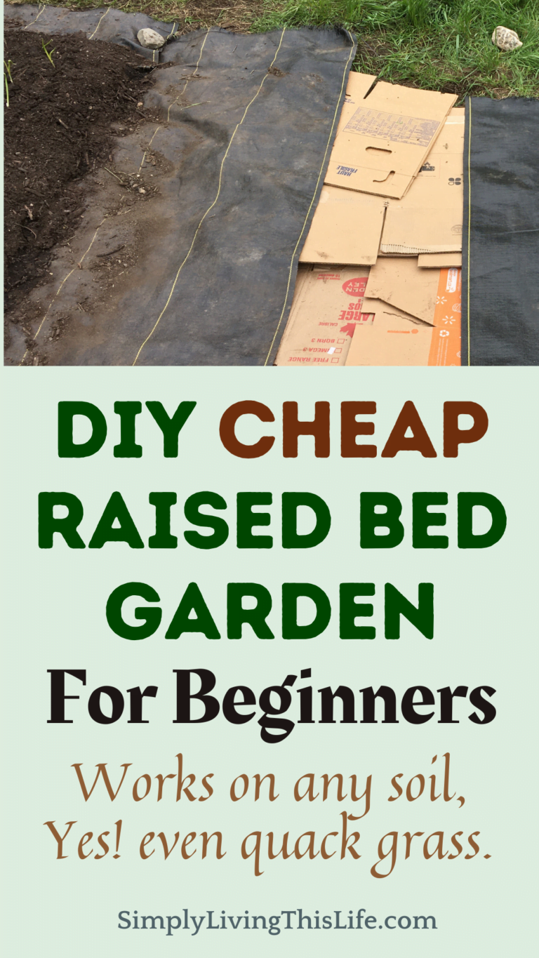 How to Make a Raised Bed Garden For Cheap - Simply Living This Life