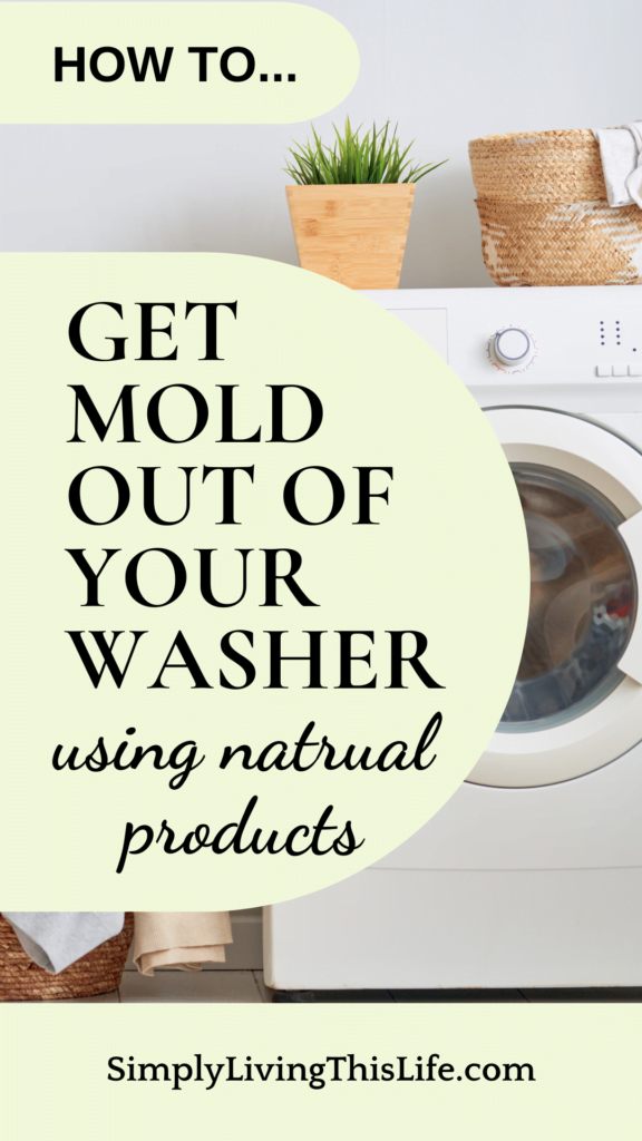 pin image of front load washing machine with plant and basket on top overlaid with text