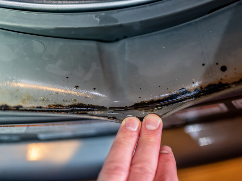 hand pulling back rubber seal of a front load washing machine to show mold