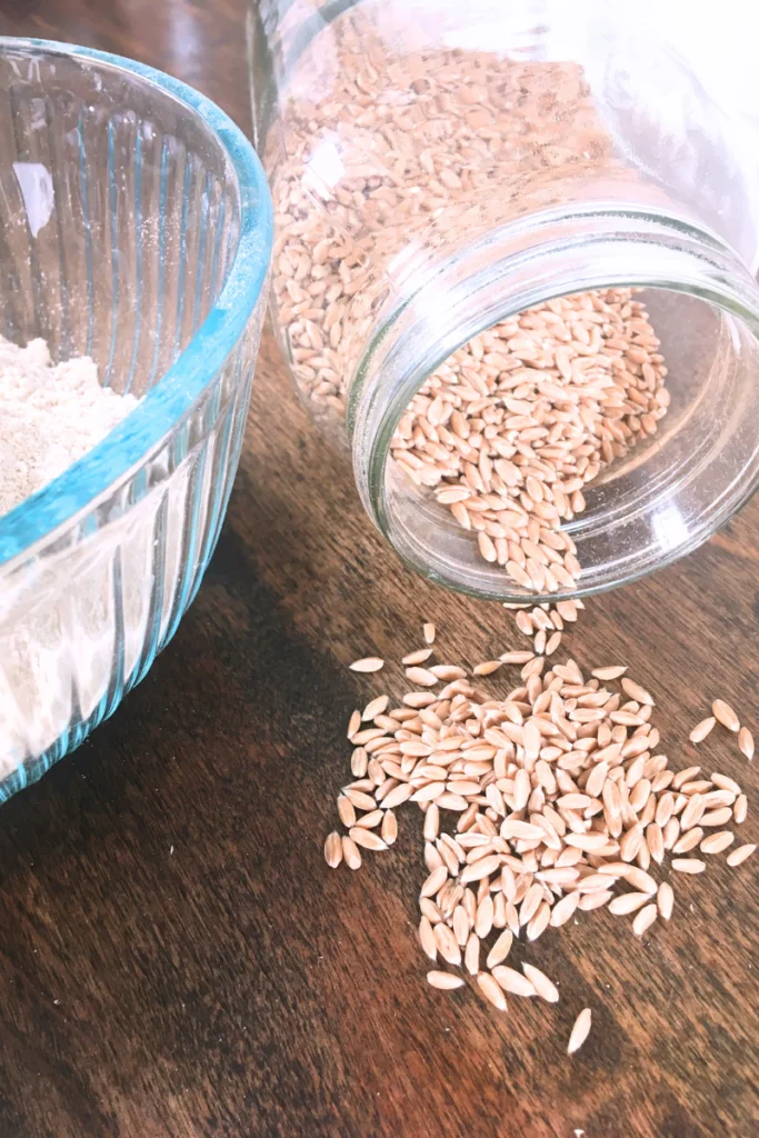 Spelt grain spilling out of mason jar onto counter next to spelt flour in bowl