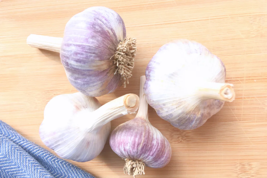 4 heads of red Russian garlic on a countertop
