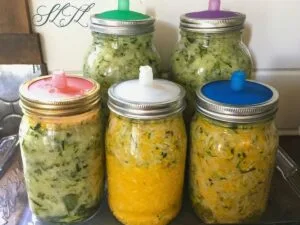 3 quart and 2 gallon mason jars with yellow and green grated zucchini fermenting on the counter with fermenting lids in a glass tray
