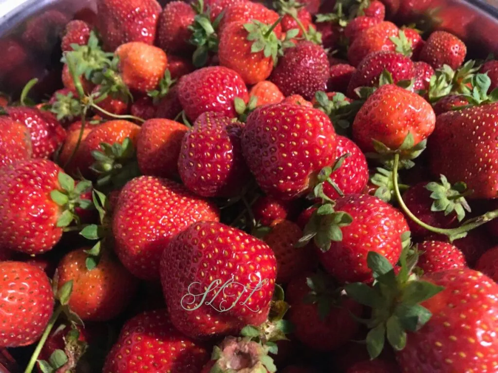 close up of fresh strawberries with stems on
