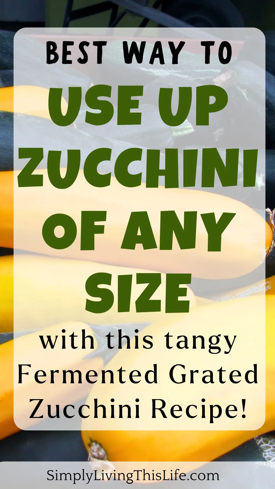 text overlaying yellow and green big and small zucchini