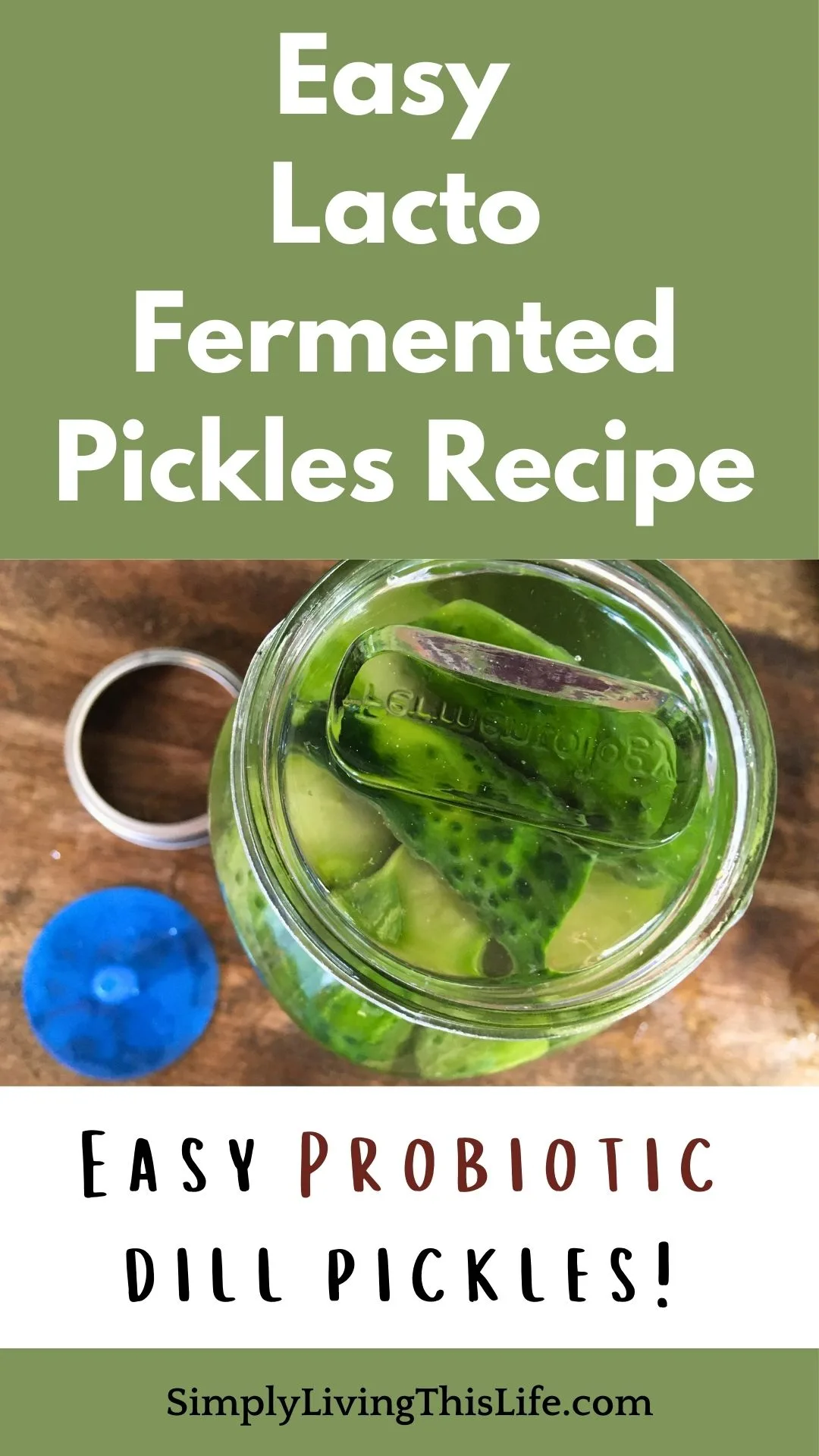 text around an image of a jar filled with cucumbers, salt brine and a glass fermenting weight, with a airlock fermenting lid beside it with a jar ring.