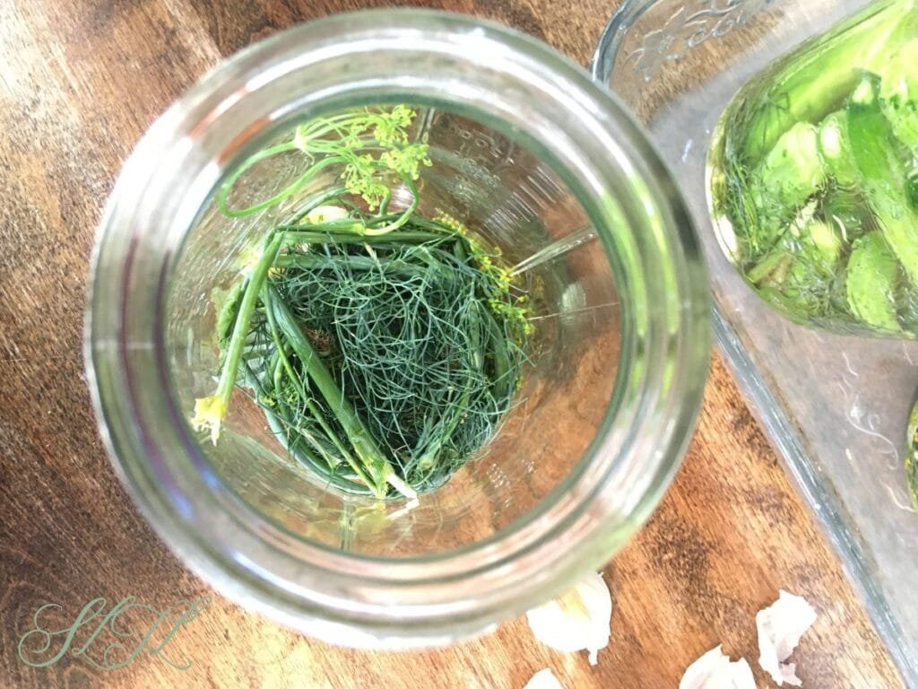 quart jar with fresh dill in the bottom, garlic sitting on the counter beside and fermenting cucumbers in a glass baking dish beside.