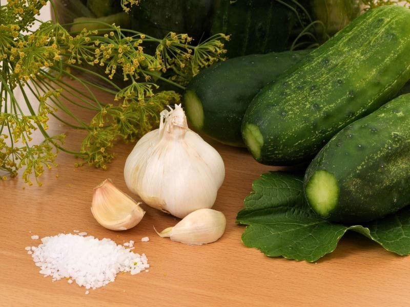 pickling cucumbers with the blossom end cut off, tannin leaves, raw garlic head and cloves, pile of salt, spring of fresh dill on a wooden counter with jars of pickles in the background.