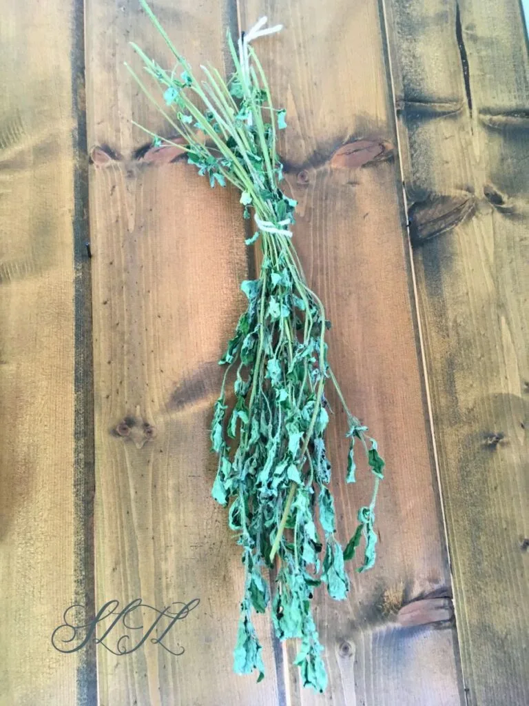 dried bundle of oregano hanging from a little nail on wooden wall