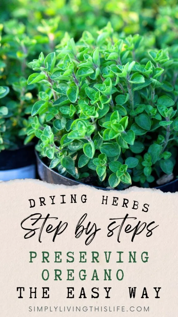 text under image of close up of fresh oregano growing in pots