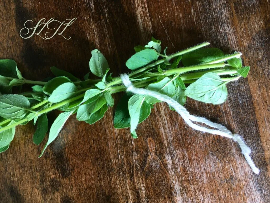 slip knot around bundle of oregano laying on the table