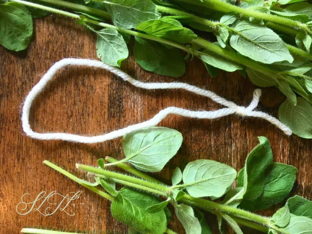 knot at end of white yarn making a loop, next to fresh oregano