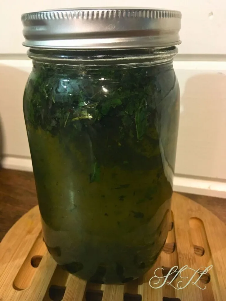 stinging nettle tea infusion in a mason jar sitting on a wooden hot plate