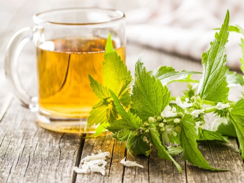 a clear cup of nettle tea with stinging nettle leaves next to it on a wooden table and a towl in the background.