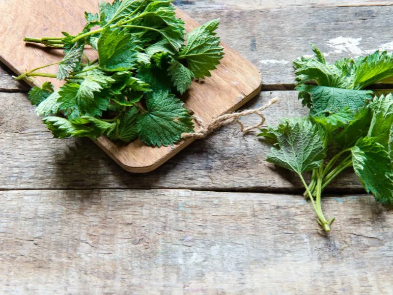 Stinging nettle leaves on a wooden cutting board with some to the side on a wooden table.