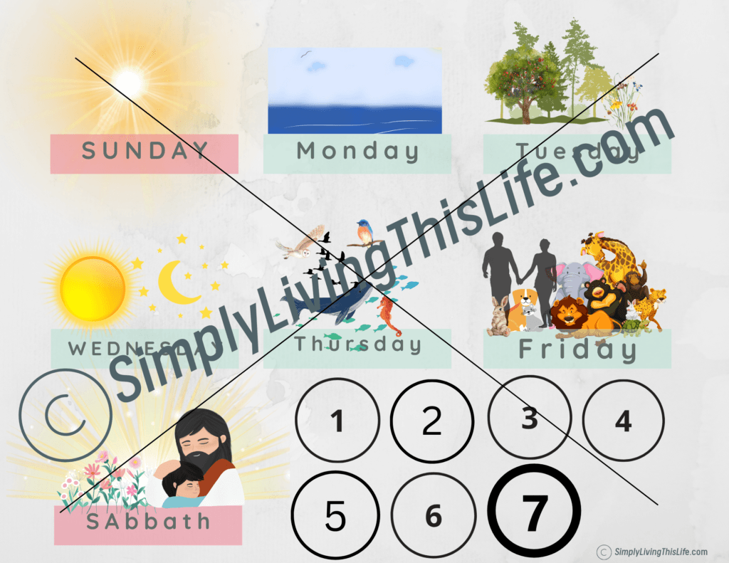 creation week chart with images of what was created on each day of the week