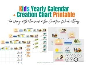 text with image of various seasons of months calendar for kids with the creation week at the top in images plus one of a creation week chart for kids and a matching monthly calendar with the same images at the top of each day