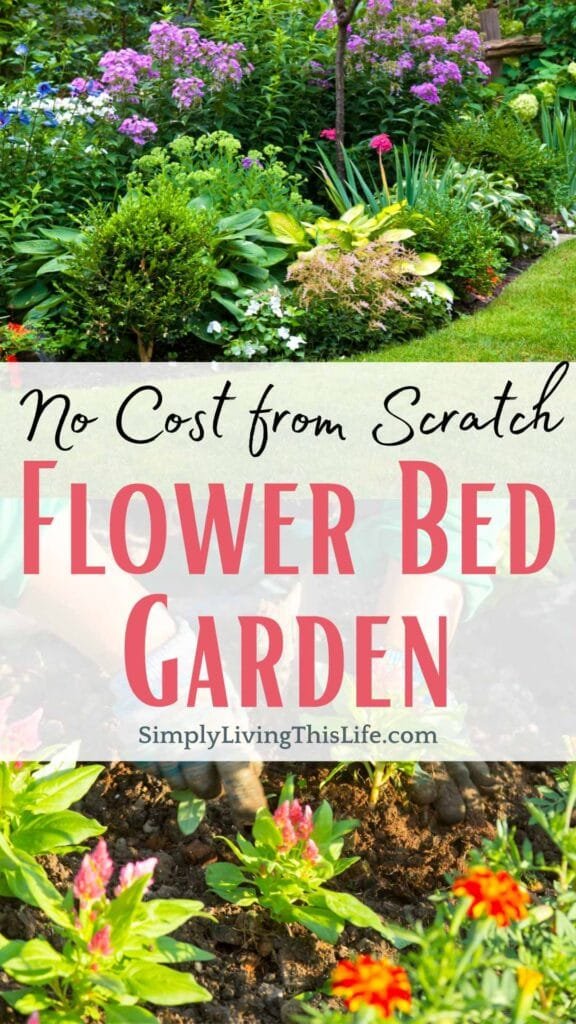 text overlaying images of flower bed shrub bed with image of someone planting flowers into the soil