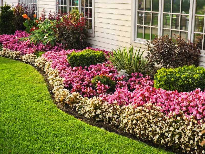 flowerbed next to a house with cutting in and hilling edging