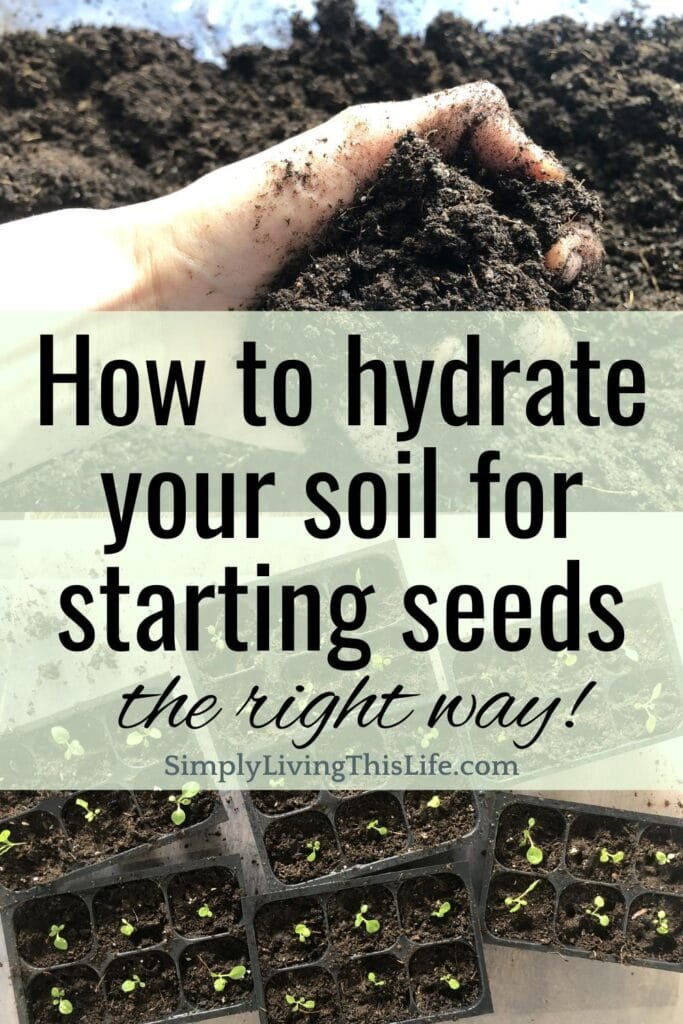 text overlaying an image of soil being squeezed and another of freshly transplanted little seedlings in trays of 6