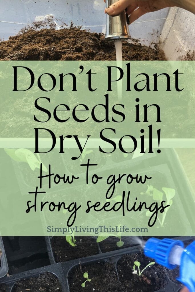 text overlaying water being poured into dry seed starting soil and an image of spraying water on young seedlings growing in seed starting trays
