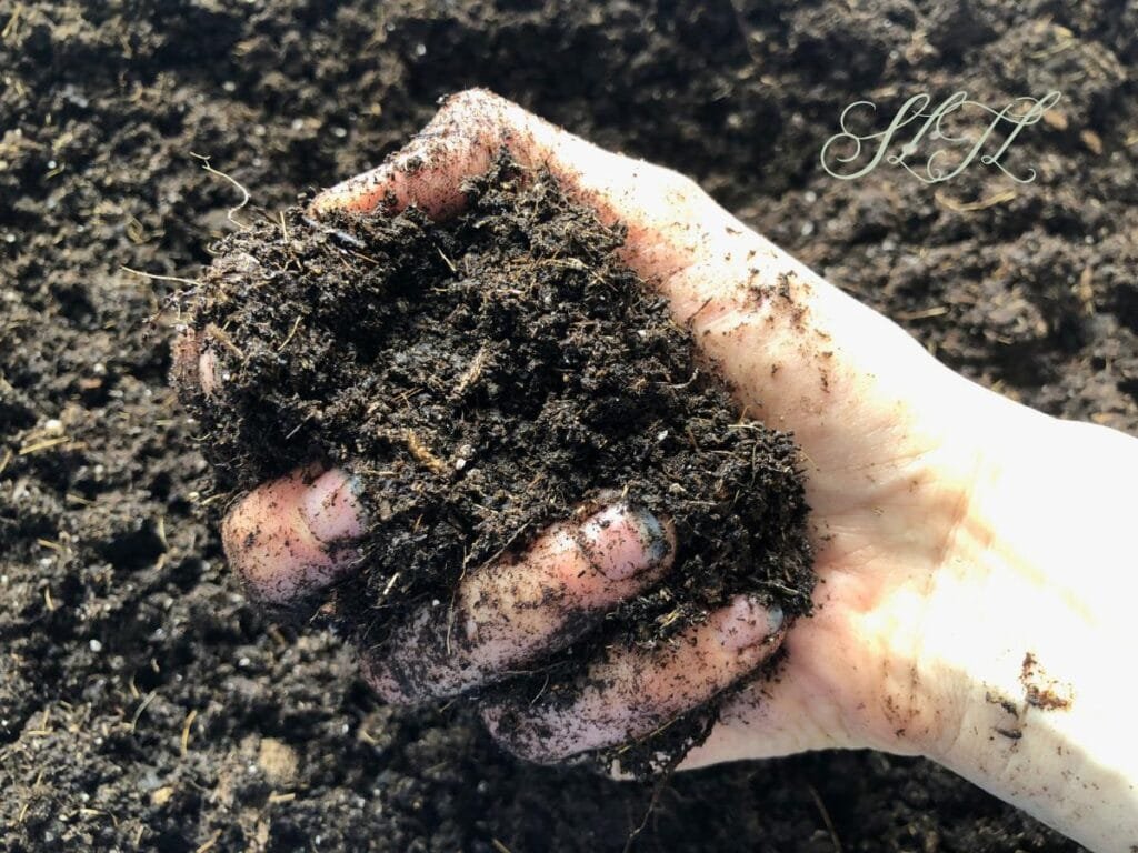 squeezing seed starting soil mix to see if it's moist enough, the soil squeeze test